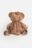Coccodrillo kuprinė, ruda, ZC6303101ACC-002-000 