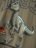 NAME IT JURASSIC WORLD marškinėliai, 13247257-817A65 134-140 cm 