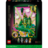 75685 LEGO® Wicked Emerald City kabinamas meno kūrinys 