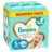 PAMPERS sauskelnės Premium Care, 5 dydis 11-16kg, 148 vnt., 81784132 