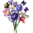 11507 LEGO® Botanicals ir LEGO® Editions Olivijos Rodrigo gėlių puokštė 