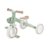GLOBBER mokomasis triratukas Learning Trike, 3in1 Plus, pistacinis, 738-109 