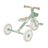 GLOBBER mokomasis triratukas Learning Trike, 2in1 Plus, pistacinis, 737-109 