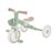 GLOBBER mokomasis triratukas Learning Trike, 2in1 Plus, pistacinis, 737-109 