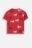 COCCODRILLO marškinėliai trumpomis rankovėmis, raudoni, WC6143201GGK-017-110, 110 dydis 