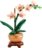 10343 LEGO® Botanical Collection Mini orchidėja 