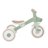 GLOBBER mokomasis triratukas Learning Trike, 2in1 Plus, pistacinis, 737-109 