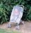 DREAMBABY universalus tinklelis nuo vabzdžių vežimėliui, White, F204 