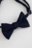 COCCODRILLO apatiniai marškinėliai Accessories, mėlyni, ZC5371201ACC-015-S, S 