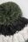 COCCODRILLO kepurė ACCESSORIES WINTER BOY, spalvota, ZC5364304AWB-022-054, 54 cm 