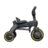 Doona triratukas LIKI TRIKE S3, Slate Green/Forest Grey, SP530-99-047-005 