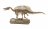 CHAP MEI Dino Valley rinkinys Dinos Pocket, 542040 542040