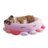 SQUISHMALLOWS PETS augintinio guolis Beula Hobotnica, 76CM, JPT0085-L 