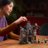 11383 LEGO® Icons Merės dvaras 