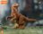 Blokees transformeris  Jurassic World Terraventure Surprise Wave  Dinosaur Capture Operation, asort., 75641 