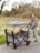 BABYTROLD sportinis vežimėlis FUN, Grey, 13-04G 