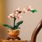 10343 LEGO® Botanical Collection Mini orchidėja 