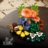 11505 LEGO® Botanicals Miško grybai 