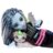 MONSTER HIGH lėlė Frankie, JHK31 