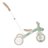 GLOBBER mokomasis triratukas Learning Trike, 3in1 Plus, pistacinis, 738-109 