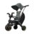 Doona triratukas LIKI TRIKE S3, Slate Green/Forest Grey, SP530-99-047-005 