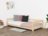 BENLEMI lova STUDY, 90x180 cm., Unvarnished, 8589/90X180-PRI 