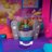POLLY POCKET katinėlio lėktuvo žaidimų rinkinys, HWP19 